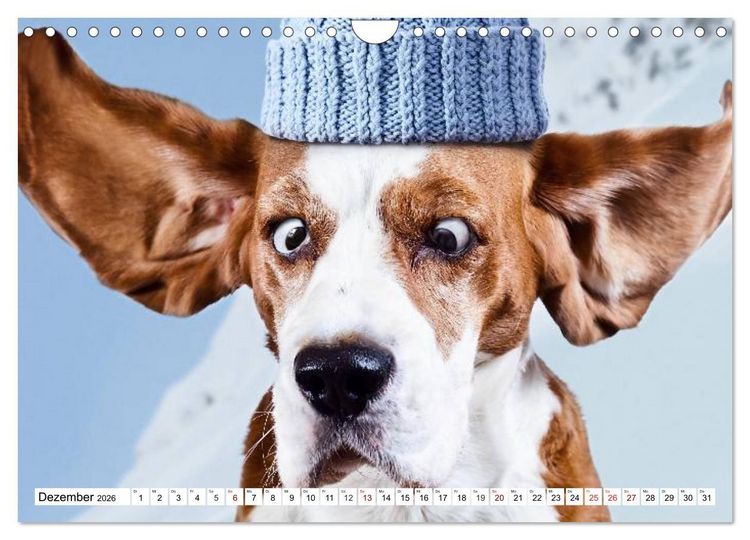 Produktbild: Lustige Tier-Selfies. Tierische Selbstportraits (Wandkalender 2026 DIN A4 quer), CALVENDO Monatskalender