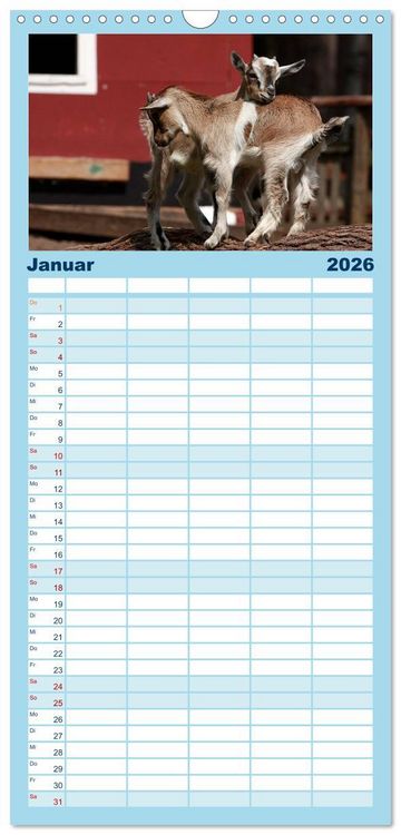 Produktbild: Familienplaner 2026 - Zwergziegen mit 5 Spalten (Wandkalender, 21 x 45 cm) CALVENDO