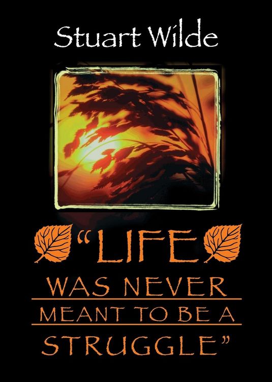 Produktbild: Life Was Never Meant to Be a Struggle