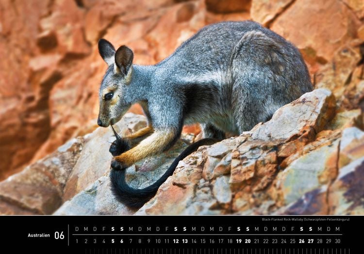 Produktbild: Australien Premiumkalender 2027