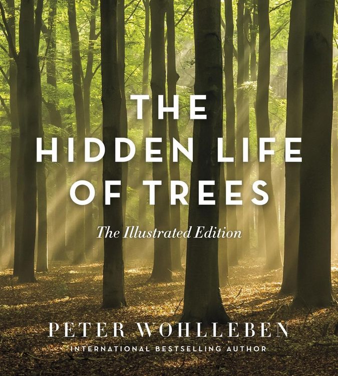 Produktbild: The Hidden Life of Trees: The Illustrated Edition