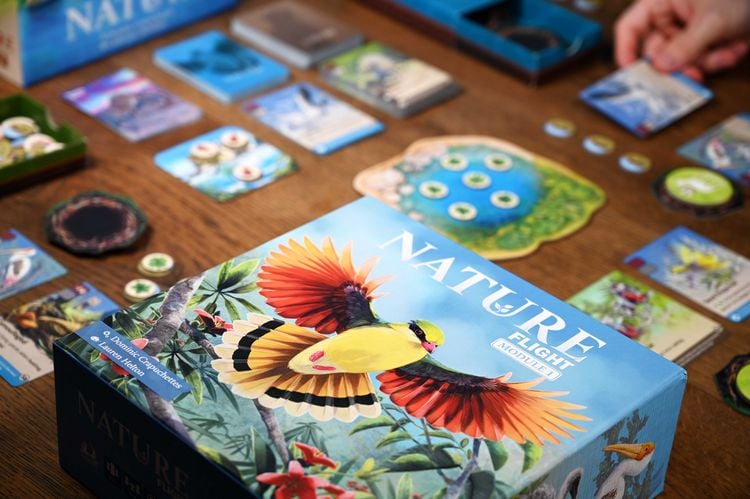 Produktbild: HABA 2014617001 - Nature Flight, Modul 1, Erweiterung