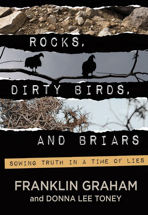 Produktbild: Rocks, Dirty Birds, and Briars