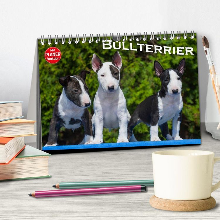 Produktbild: Bullterrier (Tischkalender 2026 DIN A5 quer), CALVENDO Monatskalender