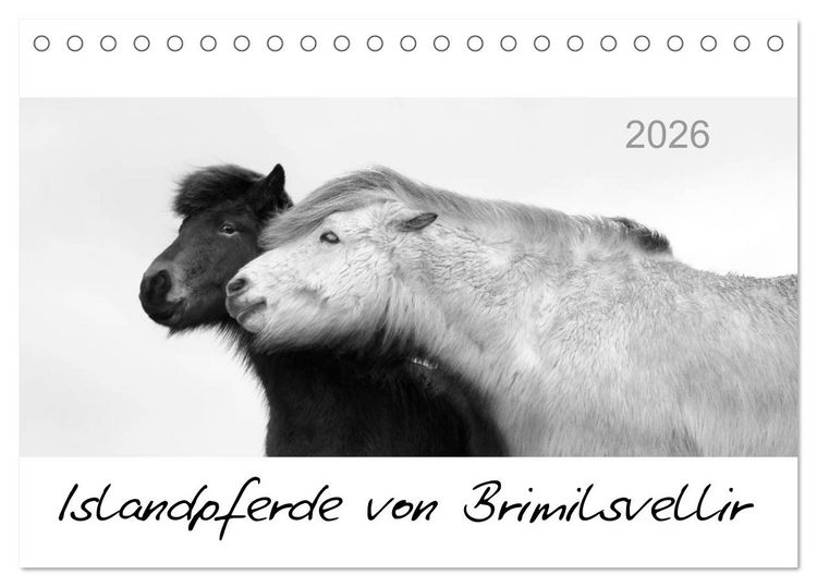 Produktbild: Islandpferde von Brimilsvellir (Tischkalender 2026 DIN A5 quer), CALVENDO Monatskalender