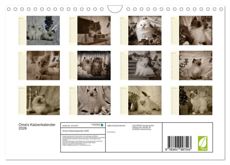Produktbild: Oma's Katzenkalender 2026 (Wandkalender 2026 DIN A4 quer), CALVENDO Monatskalender