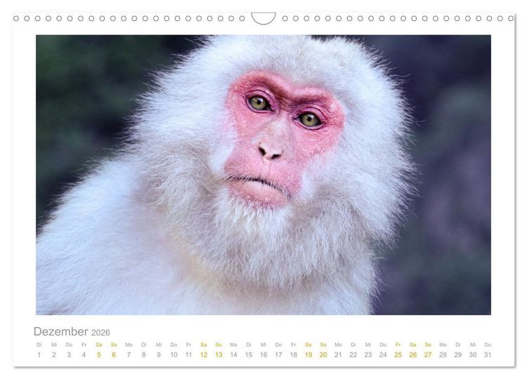 Produktbild: Ein L&auml;cheln f&uuml;r die Tierwelt (Wandkalender 2026 DIN A3 quer), CALVENDO Monatskalender