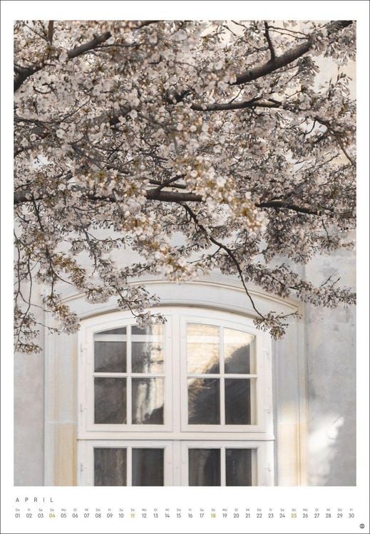 Produktbild: Mareike B&ouml;hmer: pure & simple Kalender 2027