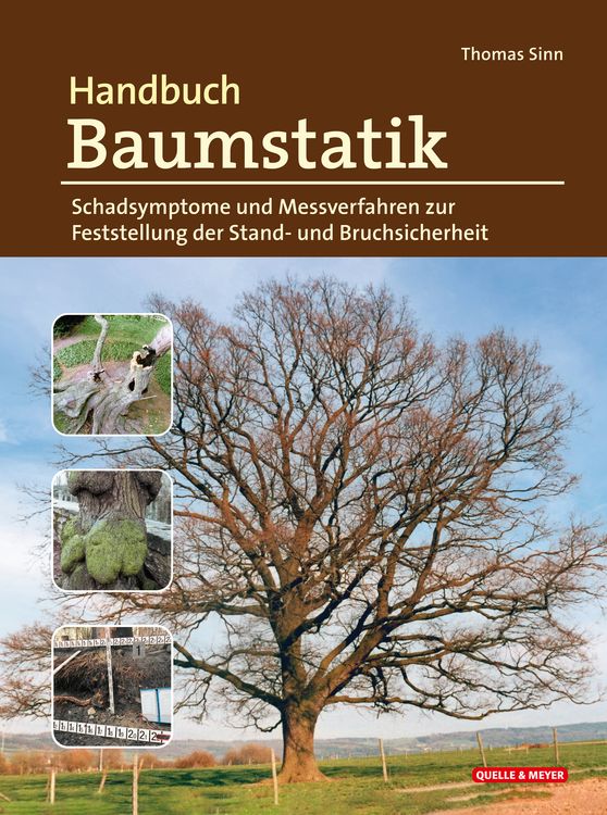 Produktbild: Handbuch Baumstatik