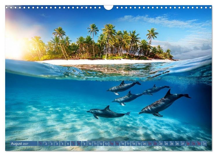 Produktbild: When Dolphins Dance with Us (Wall Calendar 2027 DIN A3 landscape), CALVENDO 12 Month Wall Calendar
