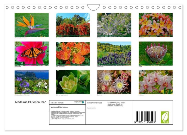 Produktbild: Madeiras Bl&uuml;tenzauber (Wandkalender 2026 DIN A4 quer), CALVENDO Monatskalender