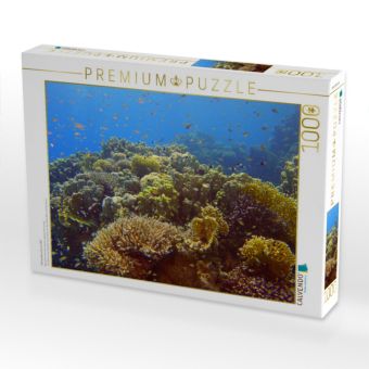 Produktbild: CALVENDO Puzzle Fahnenbarsche im Riff | 1000 Teile Lege-Gr&ouml;&szlig;e 64x48cm Foto-Puzzle f&uuml;r gl&uuml;ckliche Stunden