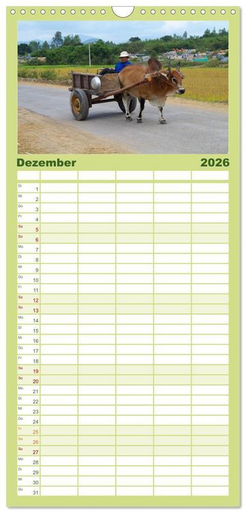 Produktbild: Familienplaner 2026 - K&uuml;he mit H&ouml;rnern mit 5 Spalten (Wandkalender, 21 x 45 cm) CALVENDO