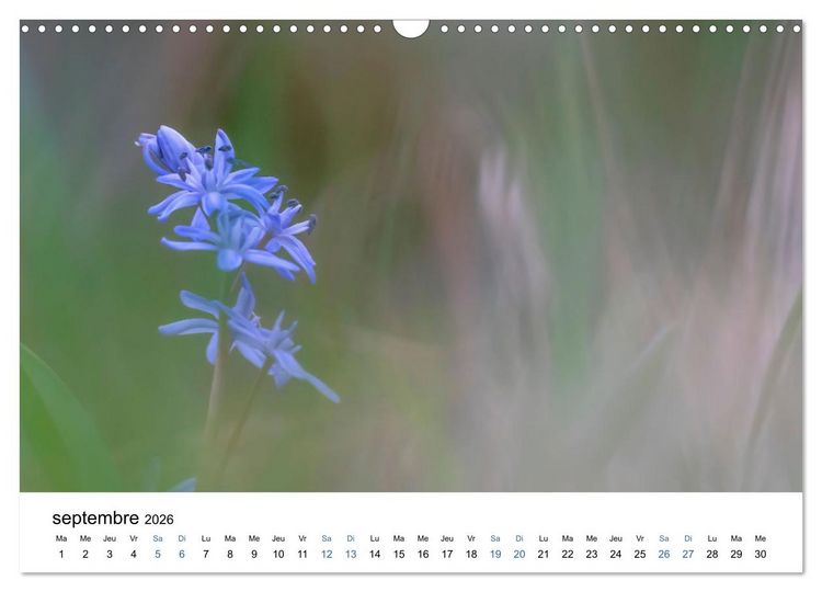 Produktbild: Fleurs po&eacute;tiques (Calendrier mural 2026 DIN A3 vertical), CALVENDO calendrier mensuel