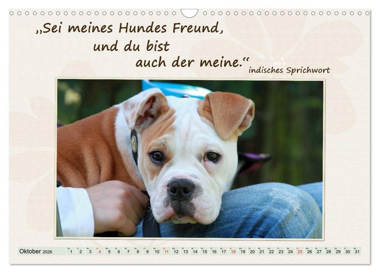 Produktbild: Mit Hundezitaten gut durchs Jahr / CH-Version (Wandkalender 2026 DIN A3 quer), CALVENDO Monatskalender