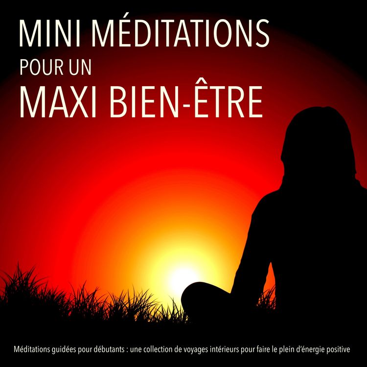 Produktbild: MINI m&eacute;ditations pour un MAXI bien-&ecirc;tre