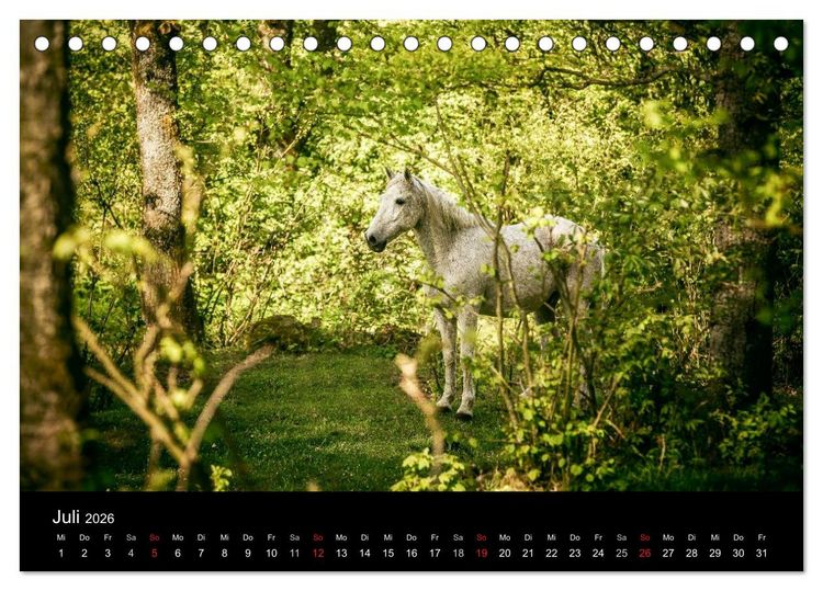 Produktbild: Pferde Tr&auml;ume (Tischkalender 2026 DIN A5 quer), CALVENDO Monatskalender