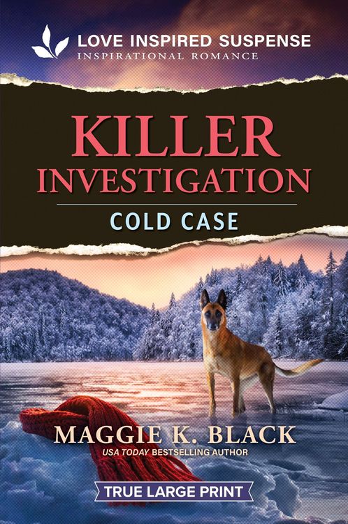 Produktbild: Killer Investigation