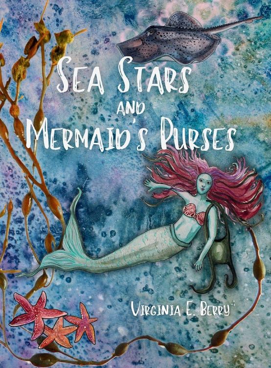 Produktbild: Sea Stars and Mermaid's Purses