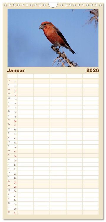 Produktbild: Familienplaner 2026 - V&ouml;gel ganz nah mit 5 Spalten (Wandkalender, 21 x 45 cm) CALVENDO