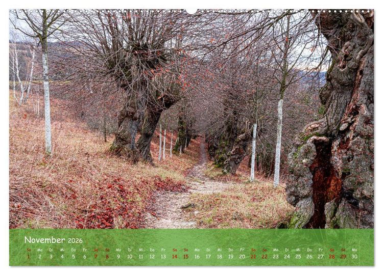 Produktbild: Jena - Faszination in Bildern (Wandkalender 2026 DIN A2 quer), CALVENDO Monatskalender