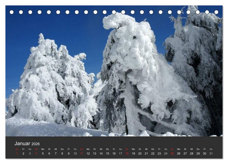 Produktbild: Alte B&auml;ume Alte Veteranen (Tischkalender 2026 DIN A5 quer), CALVENDO Monatskalender