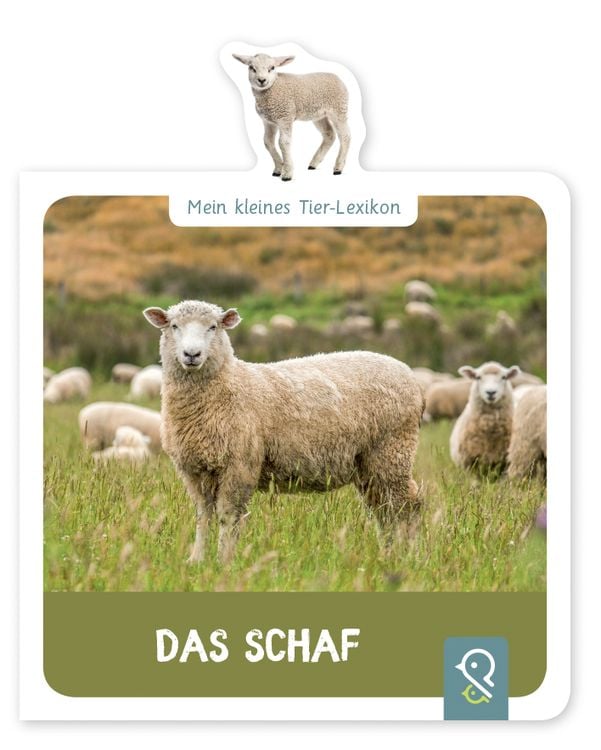 Produktbild: Das Schaf