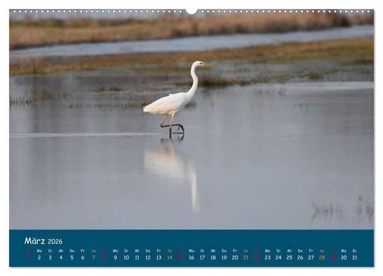 Produktbild: Naturschutzgebiet W&uuml;mme (hochwertiger Premium Wandkalender 2026 DIN A2 quer), Kunstdruck in Hochglanz