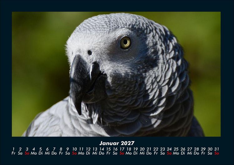 Produktbild: Welt der V&ouml;gel 2027 Fotokalender DIN A4