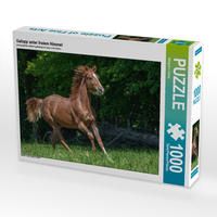 Produktbild: CALVENDO Puzzle Galopp unter freiem Himmel | 1000 Teile Lege-Gr&ouml;&szlig;e 64x48cm Foto-Puzzle f&uuml;r gl&uuml;ckliche Stunden