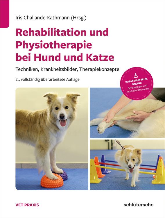 Produktbild: Rehabilitation und Physiotherapie bei Hund und Katze