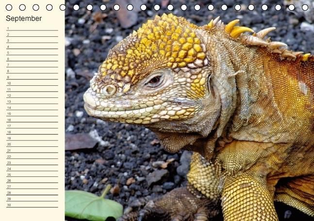 Produktbild: Gal&aacute;pagos Geburtstagskalender (Tischkalender immerw&auml;hrend DIN A5 quer)