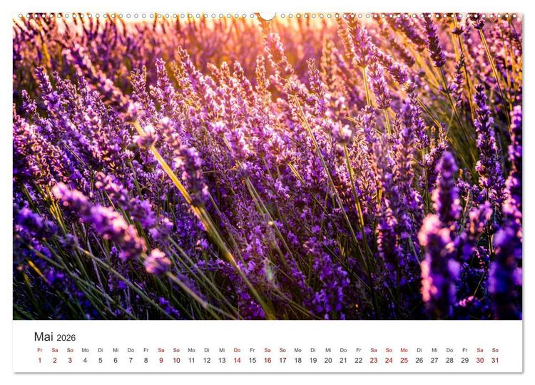 Produktbild: Lavendel - Die violette Wunderblume (hochwertiger Premium Wandkalender 2026 DIN A2 quer), Kunstdruck in Hochglanz