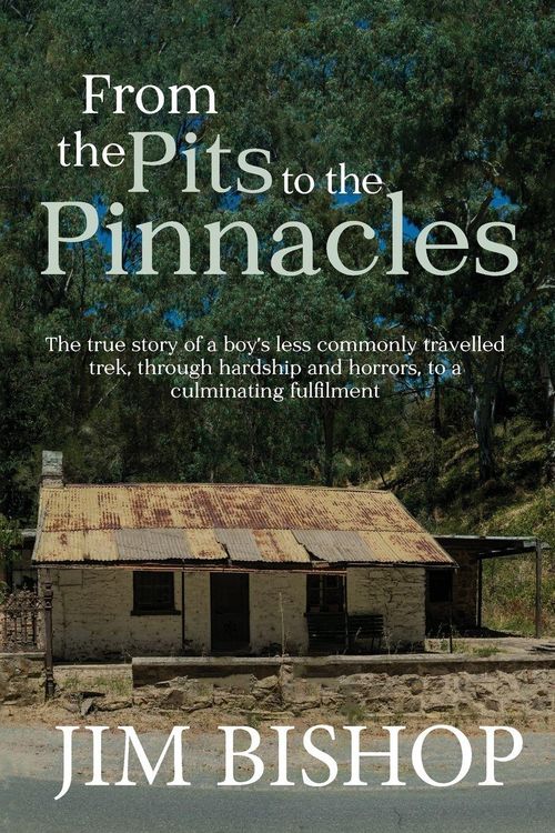 Produktbild: From the Pits to the Pinnacles