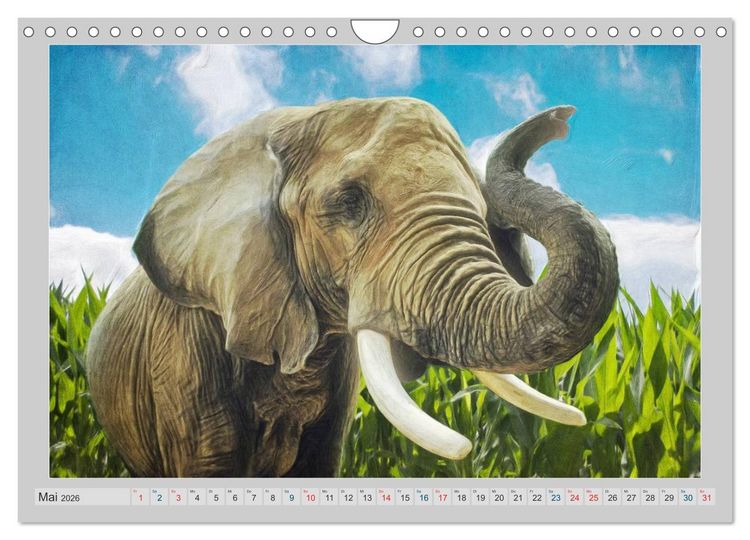 Produktbild: Elefanten - Portraits der besonderen Art (Wandkalender 2026 DIN A4 quer), CALVENDO Monatskalender