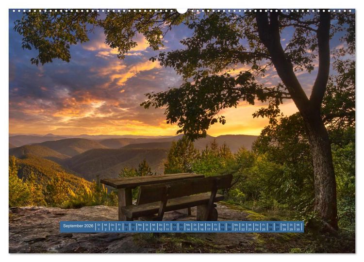 Produktbild: Magischer Pf&auml;lzer Wald (Wandkalender 2026 DIN A2 quer), CALVENDO Monatskalender