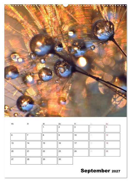Produktbild: Pusteblumentraum - Dreams of Dandelion (hochwertiger Premium Wandkalender 2027 DIN A2 hoch), Kunstdruck in Hochglanz