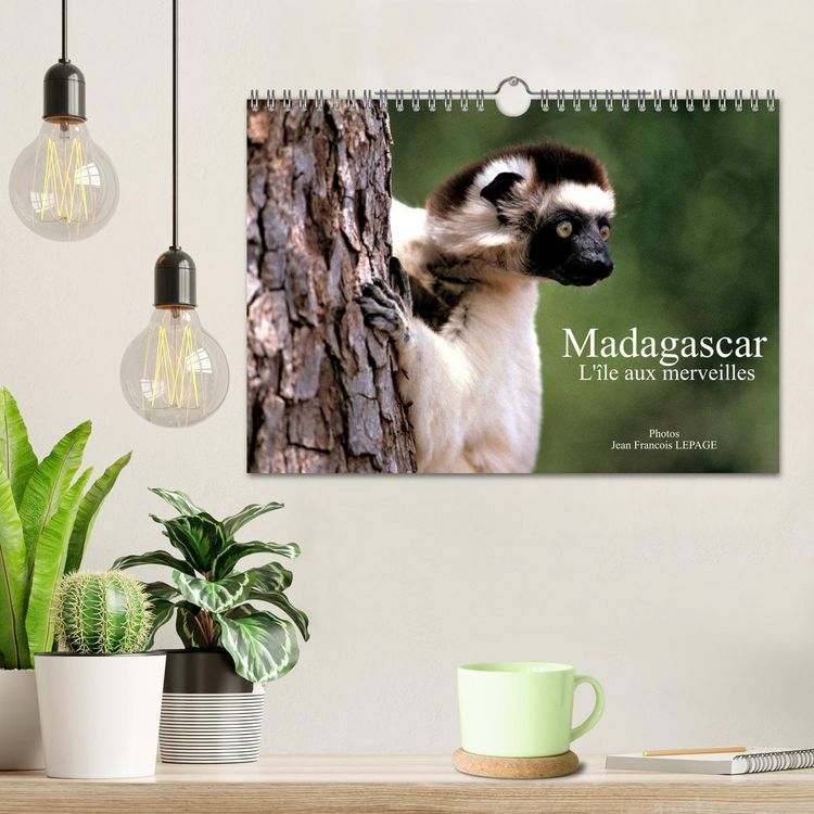 Produktbild: Madagascar L'&icirc;le aux merveilles (Calendrier mural 2026 DIN A4 vertical), CALVENDO calendrier mensuel