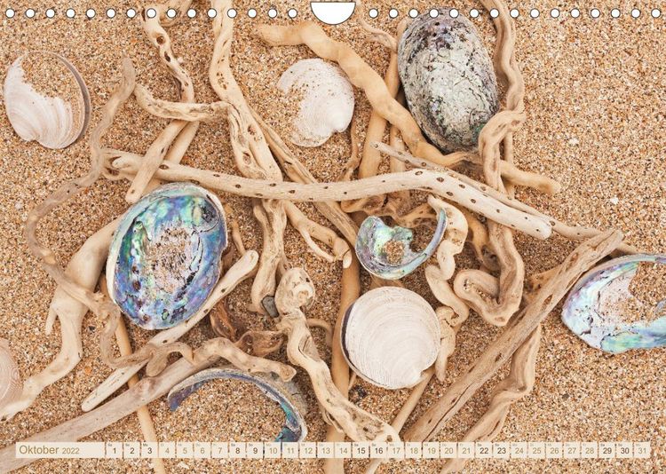 Produktbild: Am Strand - Fundst&uuml;cke und Kunstwerke (Wandkalender 2022 DIN A4 quer)