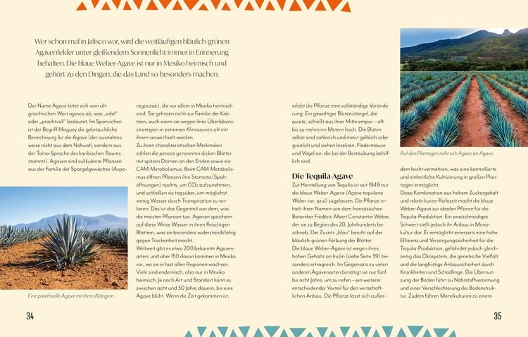 Produktbild: Tequila