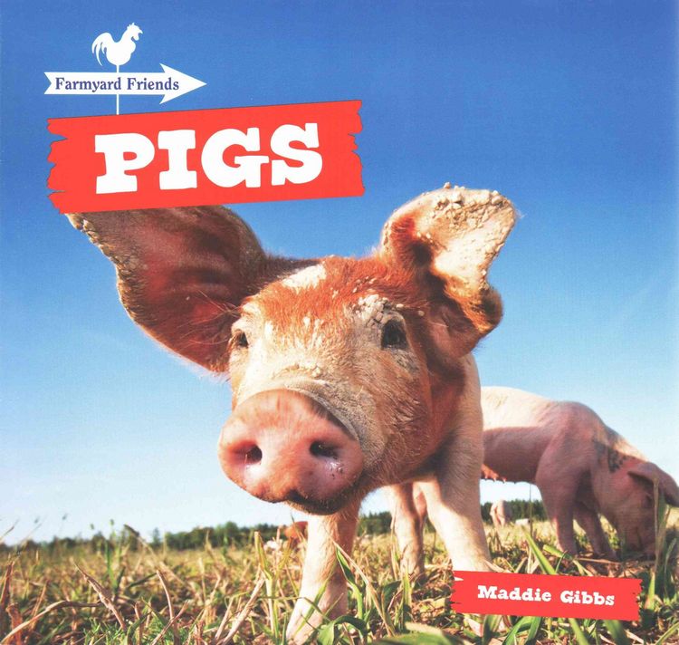 Produktbild: Farmyard Friends Set        6v