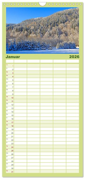 Produktbild: Familienplaner 2026 - Wald und Baum 2026 mit 5 Spalten (Wandkalender, 21 x 45 cm) CALVENDO