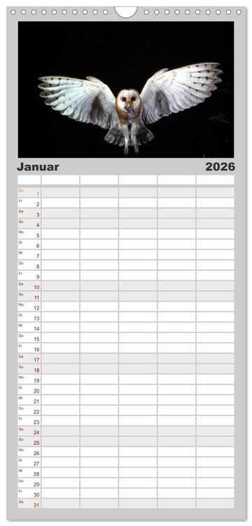 Produktbild: Familienplaner 2026 - V&ouml;gel, Gefiederte Sch&ouml;nheiten mit 5 Spalten (Wandkalender, 21 x 45 cm) CALVENDO