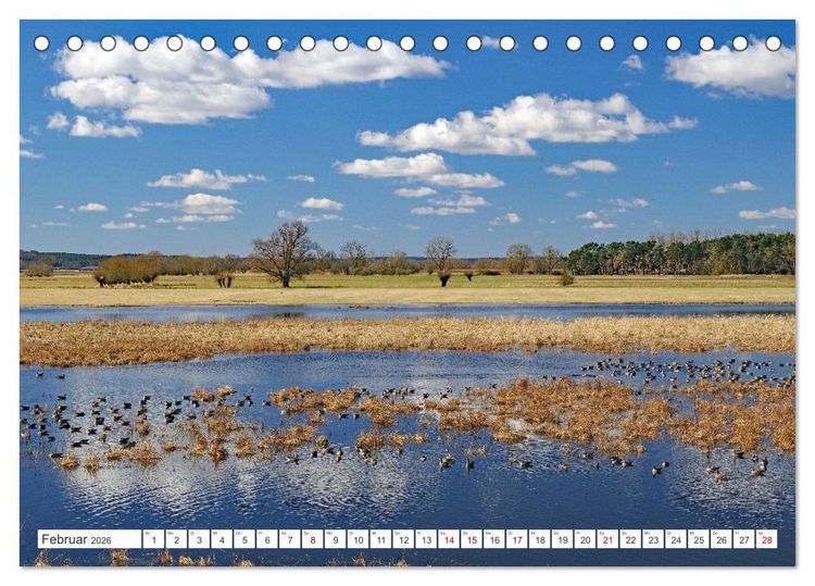 Produktbild: Wildes Wendland (Tischkalender 2026 DIN A5 quer), CALVENDO Monatskalender