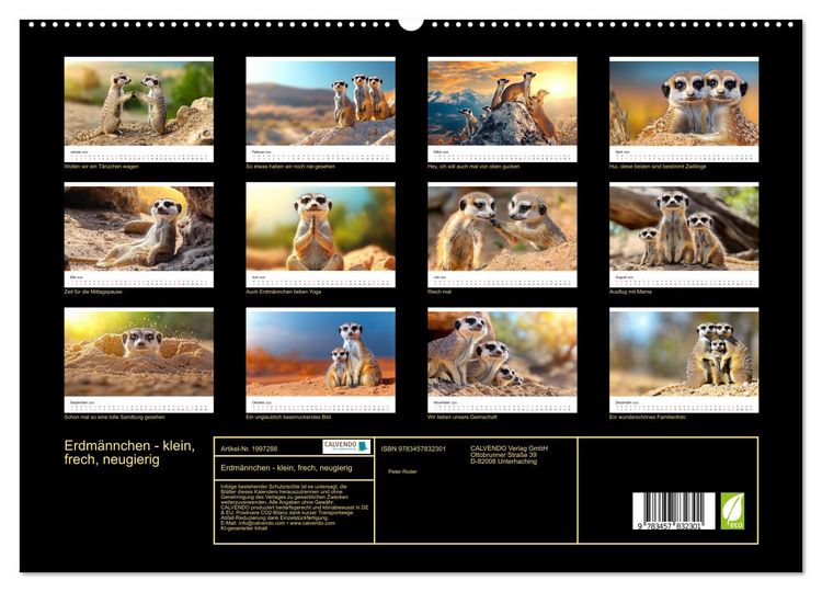 Produktbild: Erdm&auml;nnchen - klein, frech, neugierig (hochwertiger Premium Wandkalender 2026 DIN A2 quer), Kunstdruck in Hochglanz