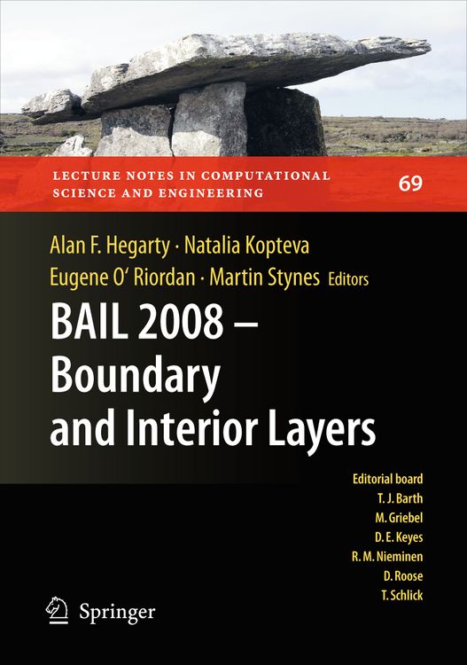 Produktbild: BAIL 2008 - Boundary and Interior Layers
