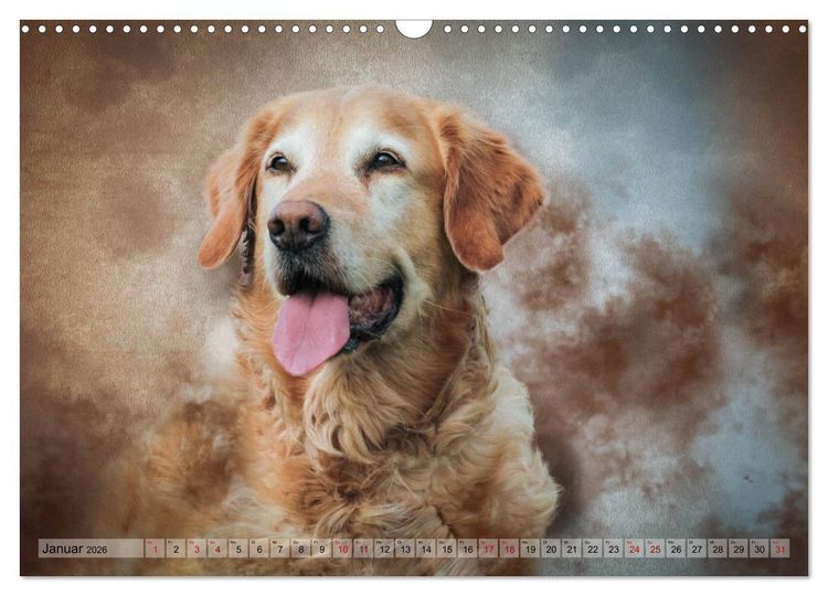 Produktbild: Jagdhunde im Portrait (Wandkalender 2026 DIN A3 quer), CALVENDO Monatskalender