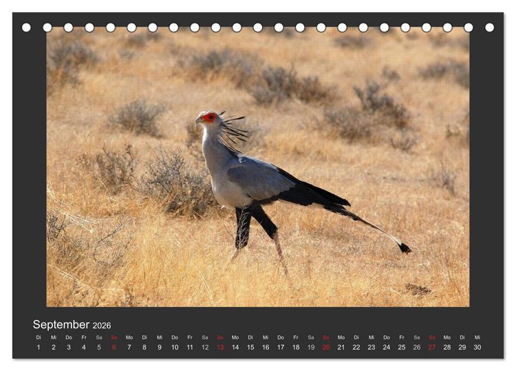 Produktbild: Facetten Namibias (Tischkalender 2026 DIN A5 quer), CALVENDO Monatskalender