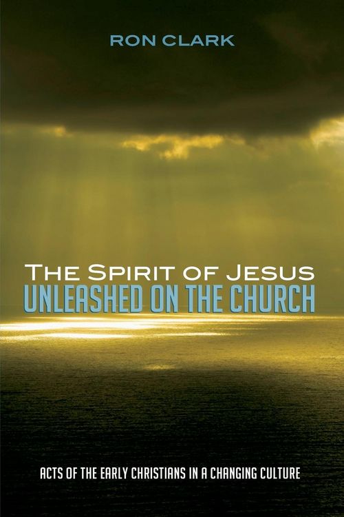 Produktbild: The Spirit of Jesus Unleashed on the Church