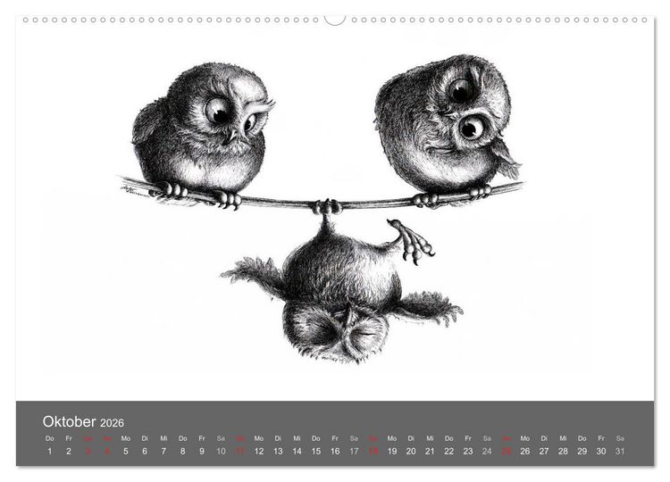 Produktbild: owls & friends 2026 (hochwertiger Premium Wandkalender 2026 DIN A2 quer), Kunstdruck in Hochglanz